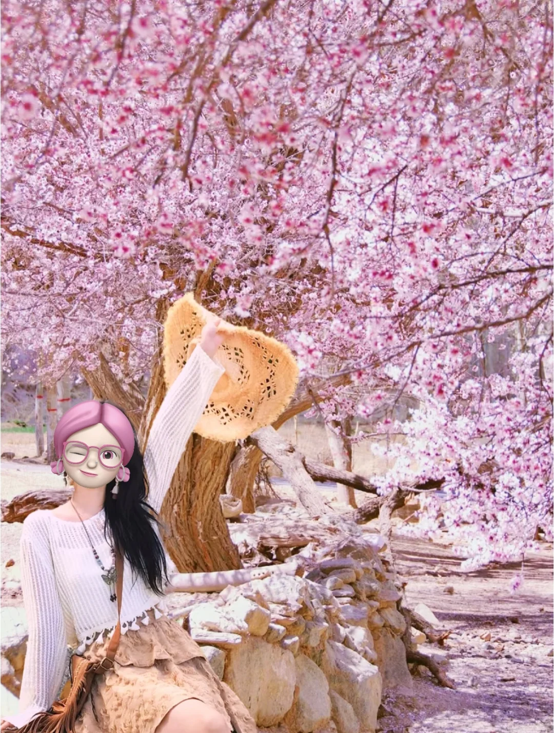 4月份去了新疆，我的建议是～