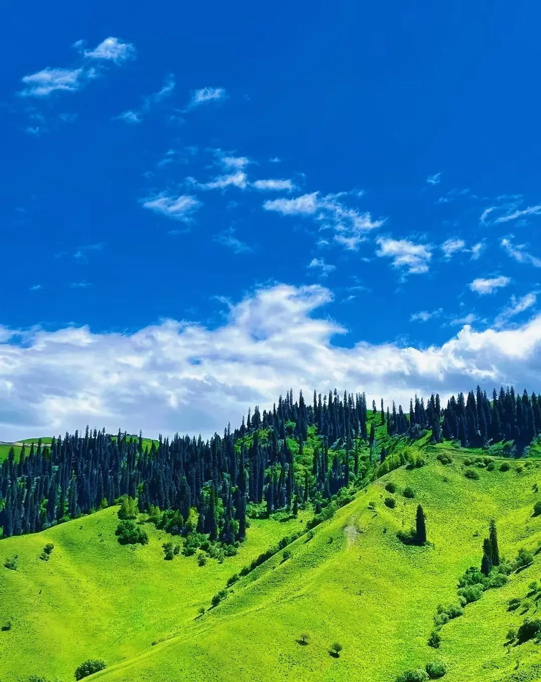 新疆逃难已回，说点让人奔溃的😭事