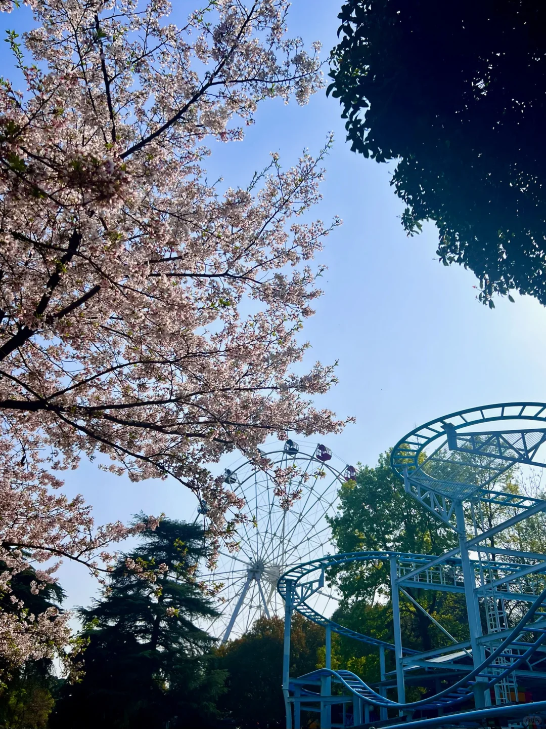 人生建议📸拍完这1️⃣8️⃣张图再离开南京