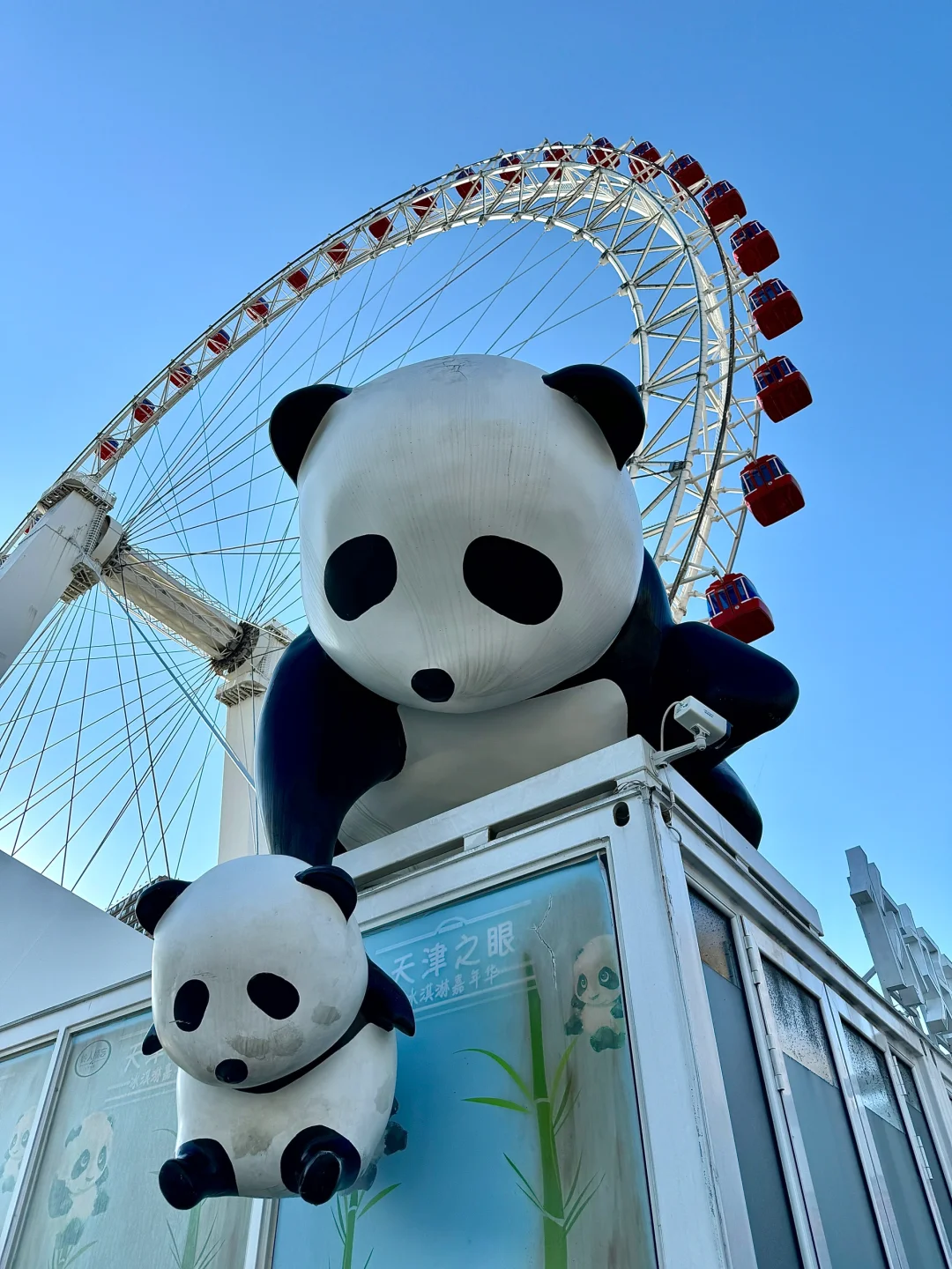 感受一下天津📍松弛感🎬