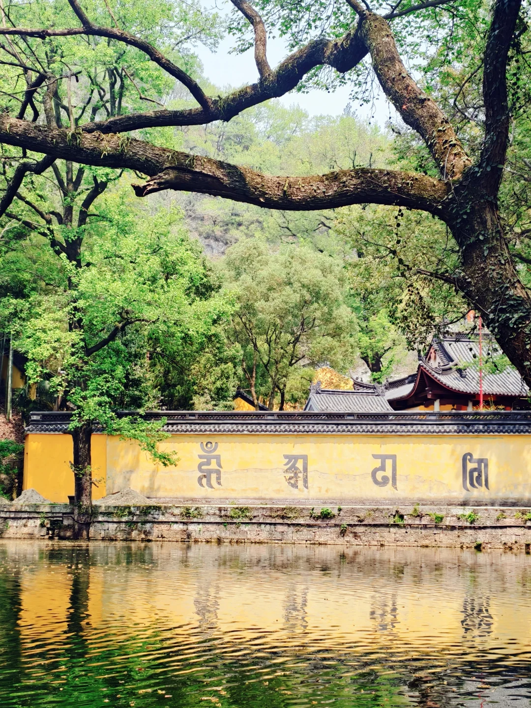 江浙沪五一个反向旅游地，主打一个冷门小众