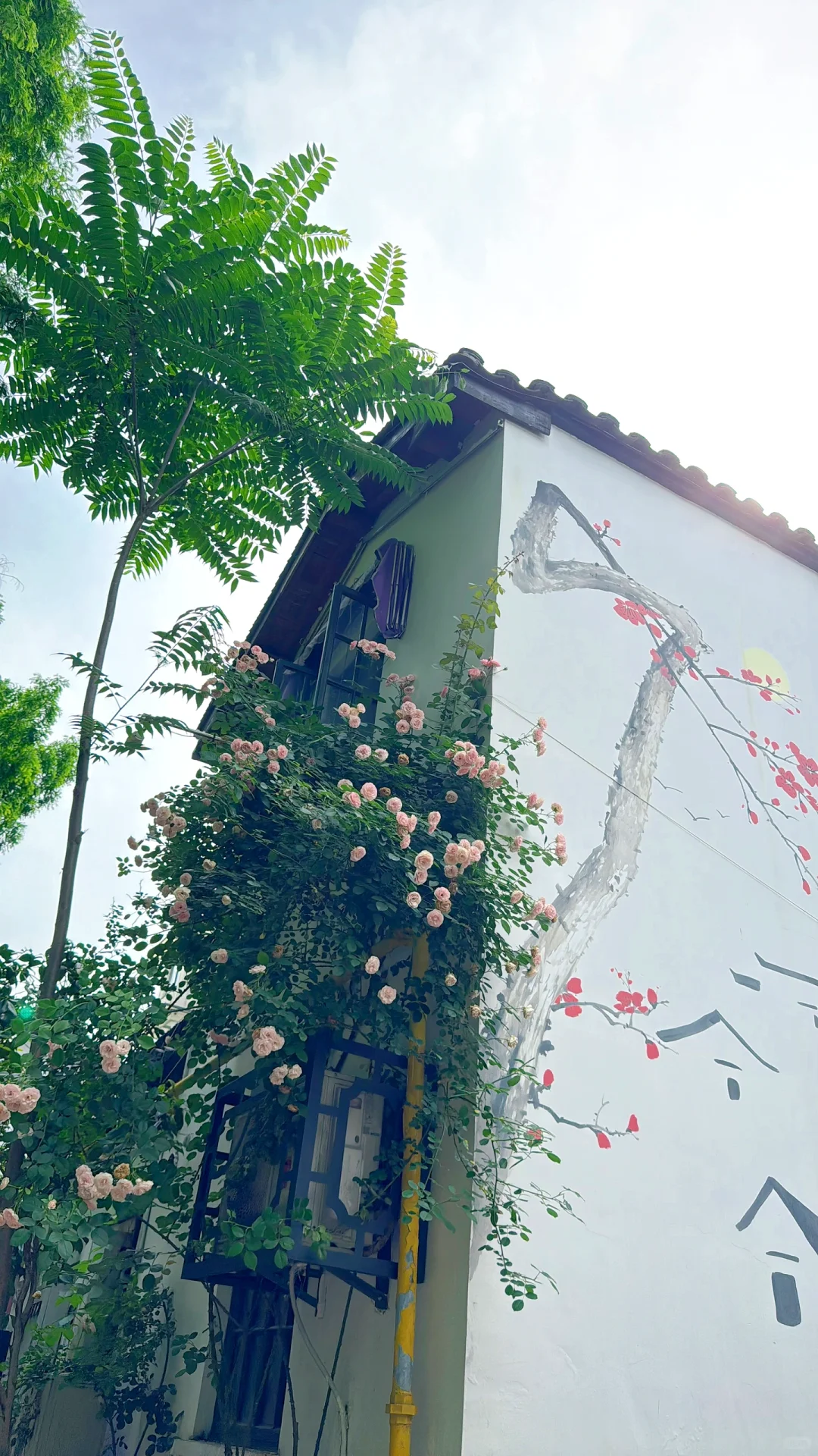 2025年5月4日在杭州的一天，打卡6个网红景点