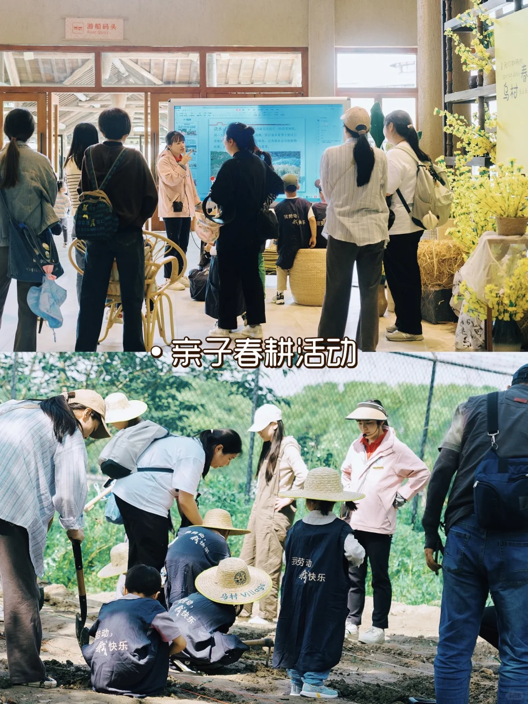 别再问乌村值不值得去了，真实体验过才知道