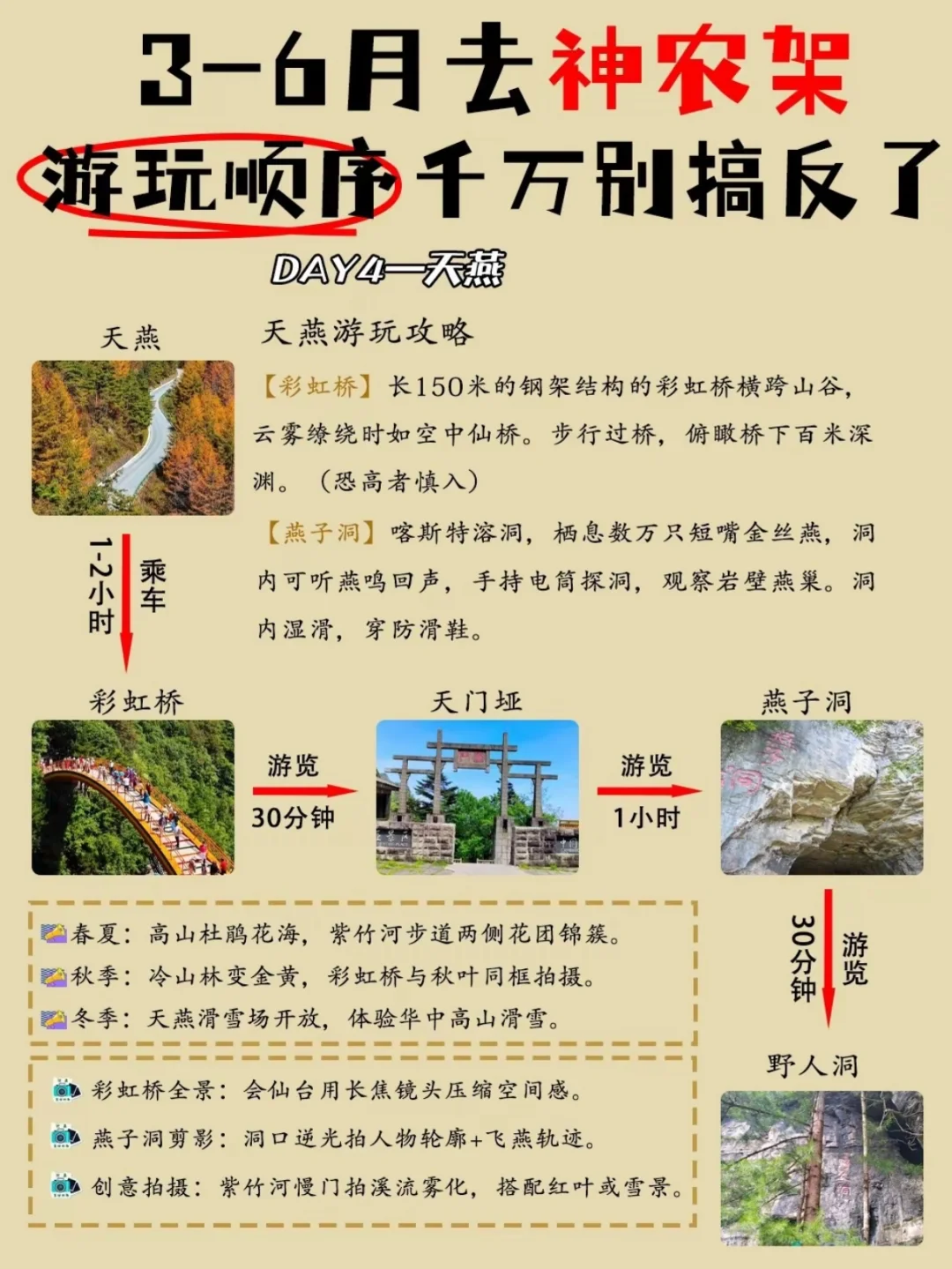 原始森林地质与奇观