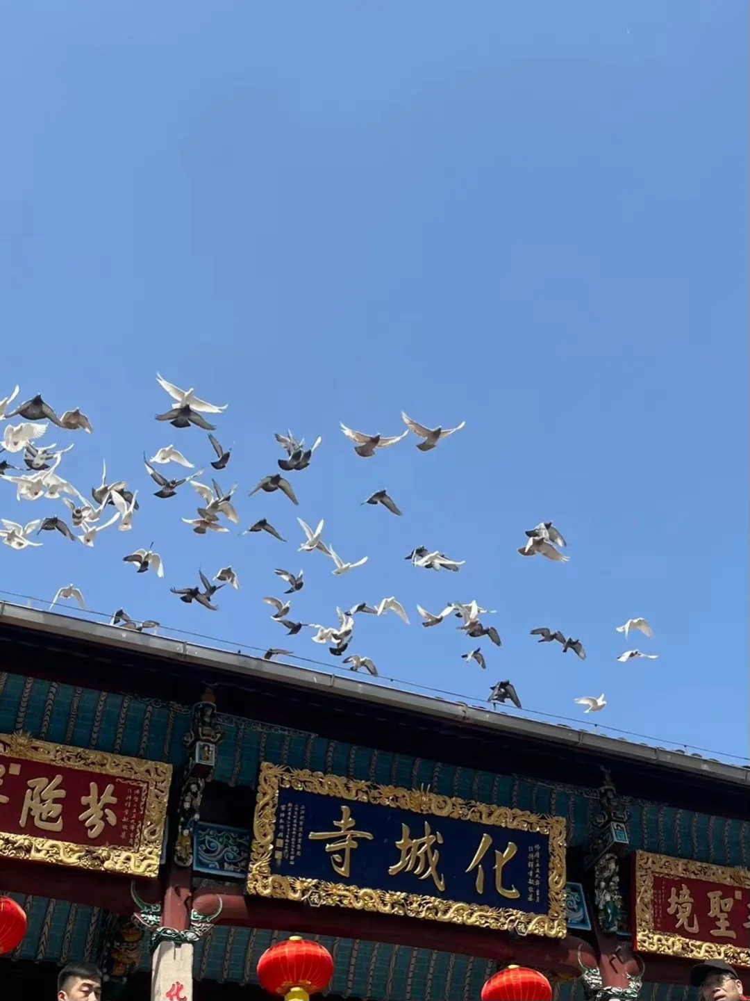 🙏和男友刚从九华山回来｜人均300避坑指南