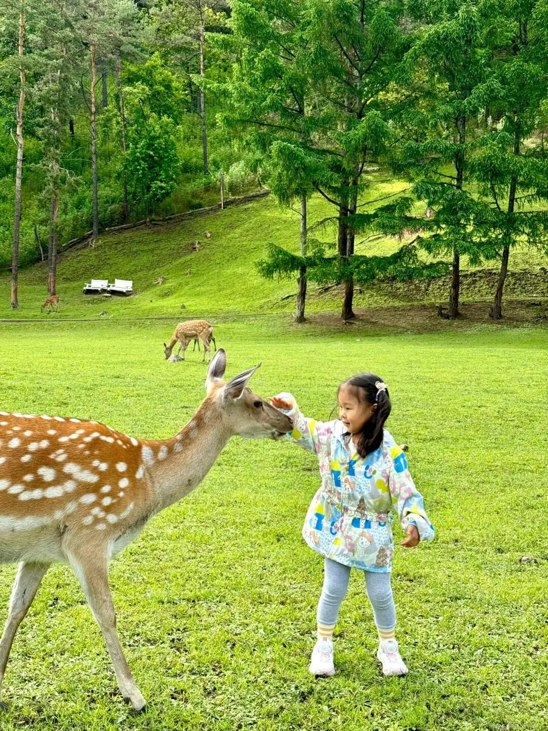 今年暑假，我只带娃去一个地方：伊春🥳