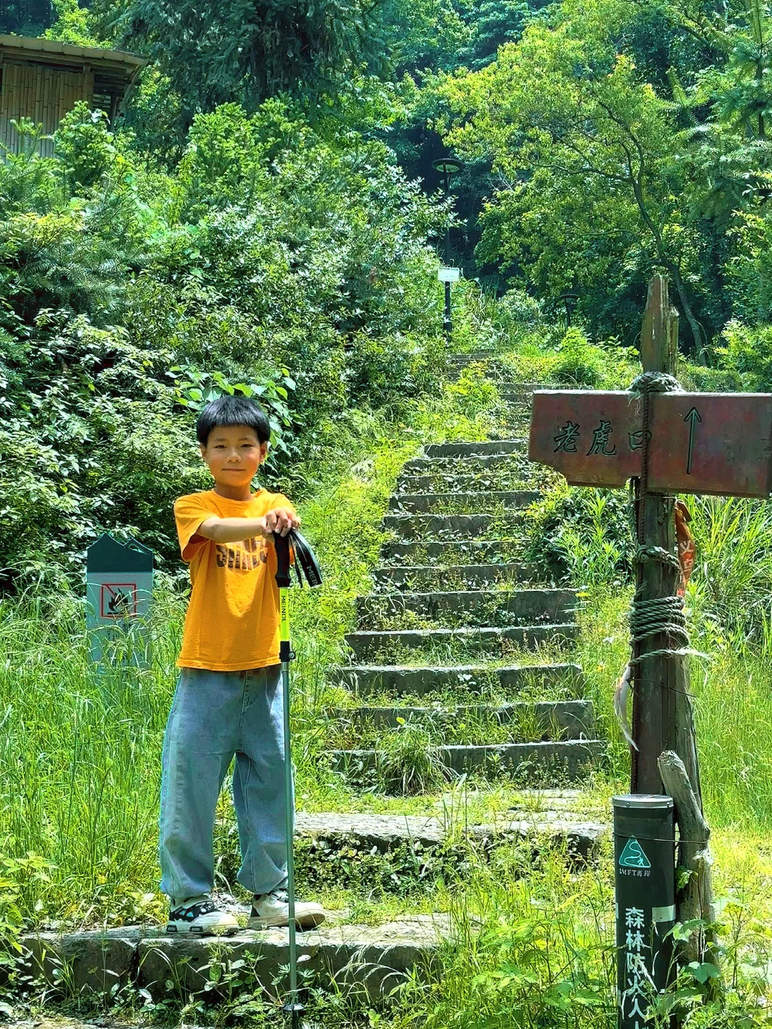 每周一山‼️大金华市内藏有峡谷瀑布悬空栈道