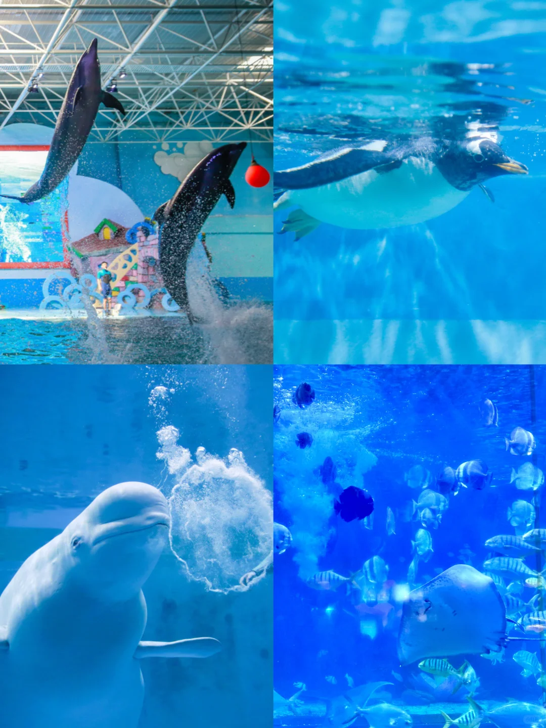 被低估的蓬莱仙岛，到底有多美！