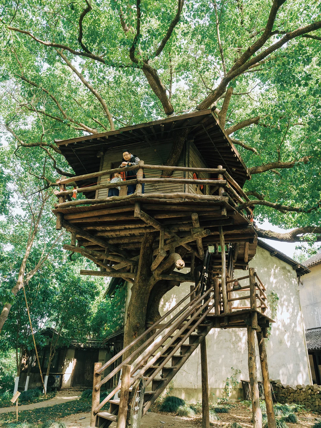 别再问乌村值不值得去了，真实体验过才知道