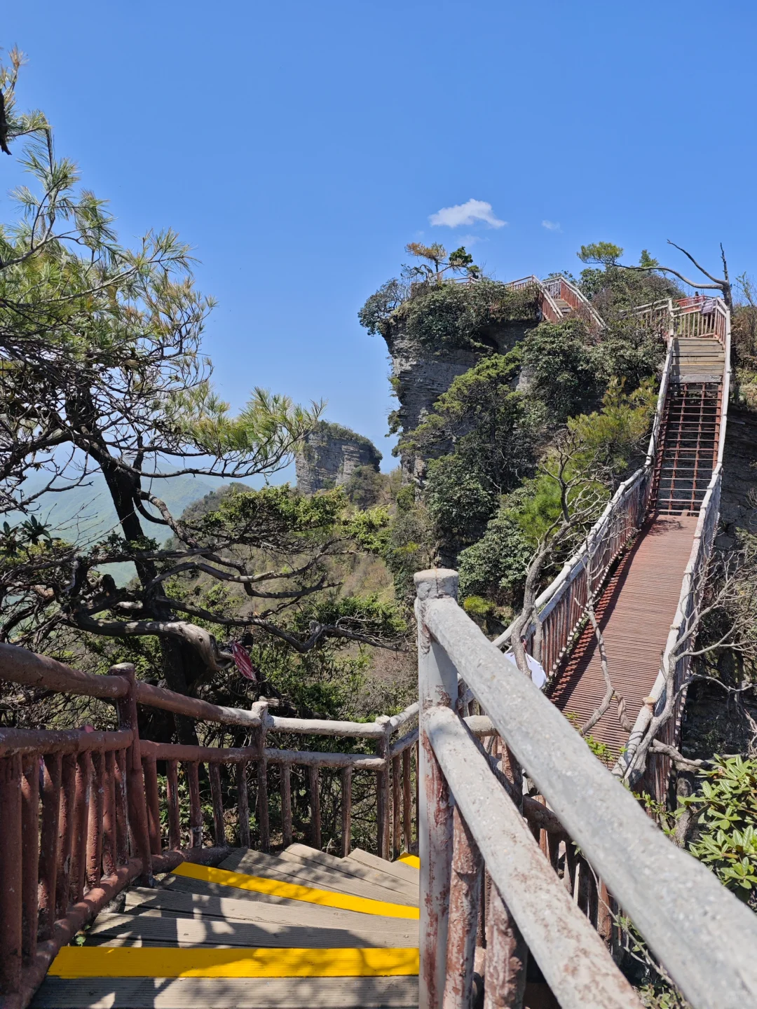 光雾山｜藏在深山的5A级景区⛰️