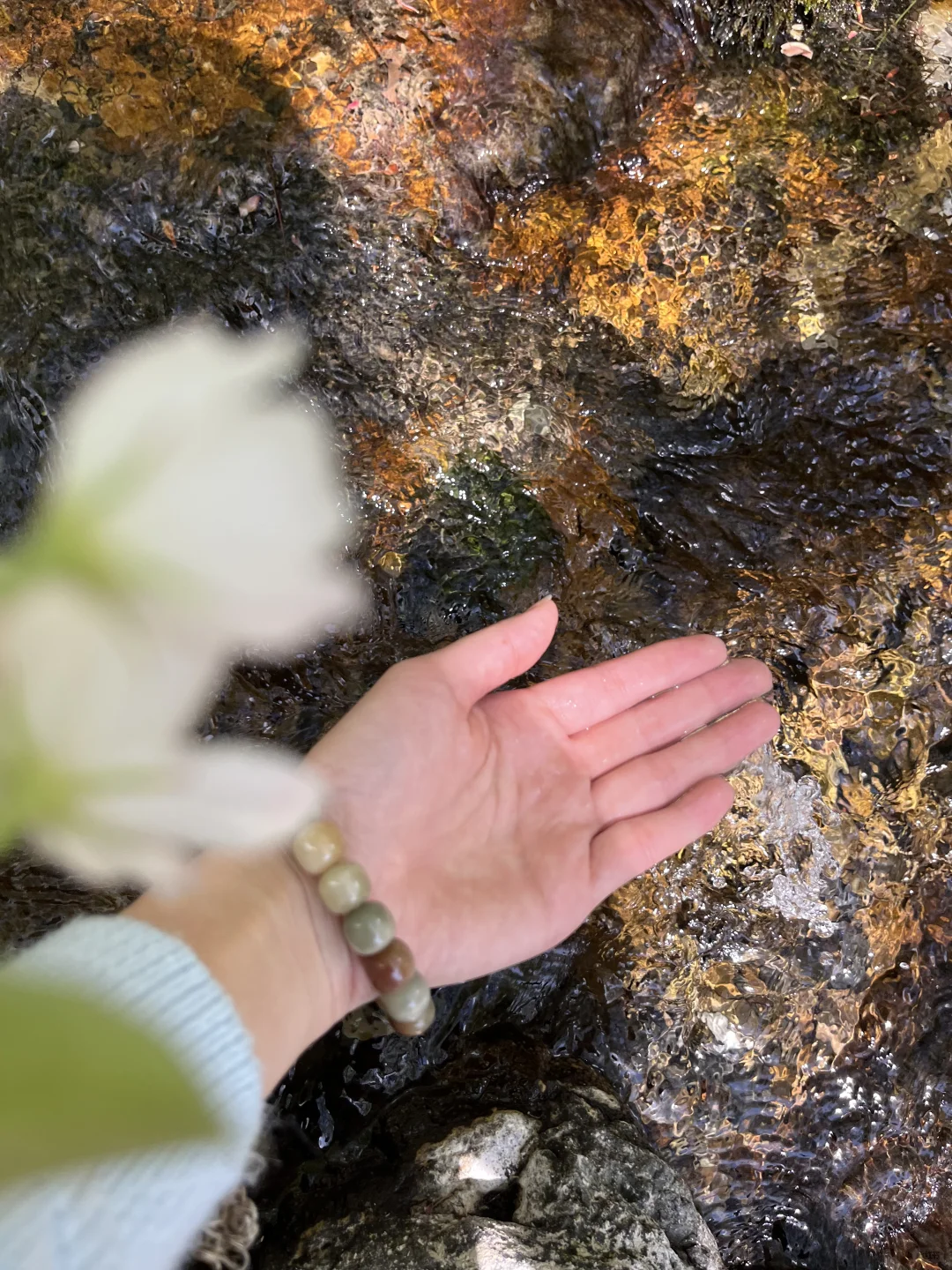 光雾山｜藏在深山的5A级景区⛰️