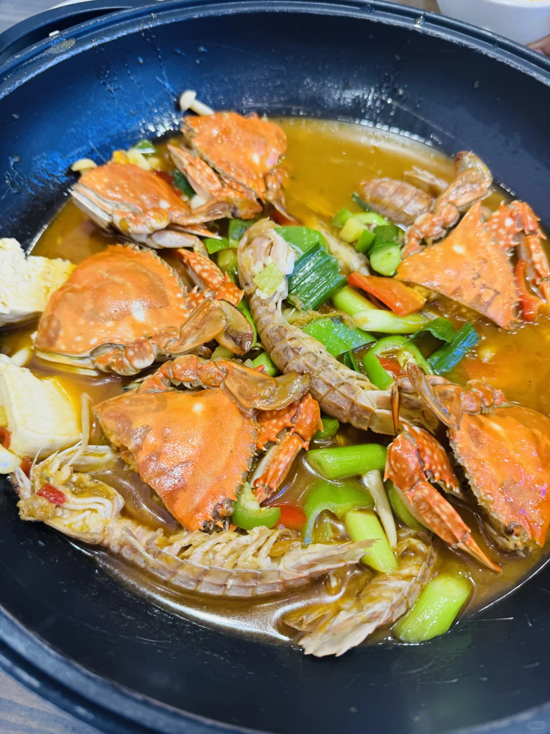 误入童话里的绿野仙踪🏝️衢山岛攻略请查收