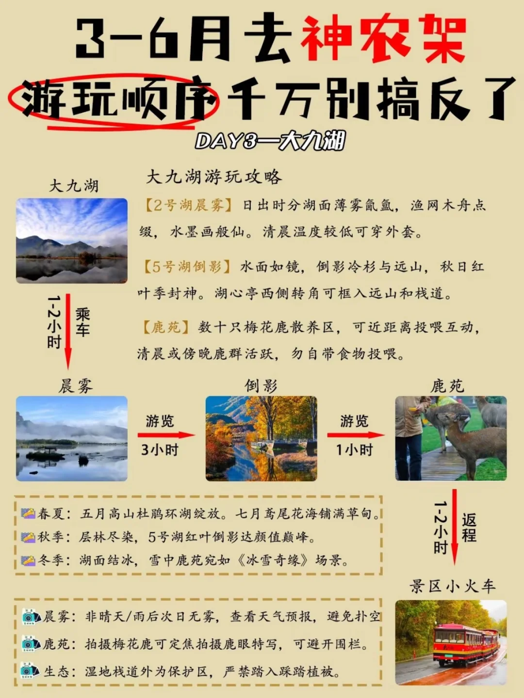 原始森林地质与奇观