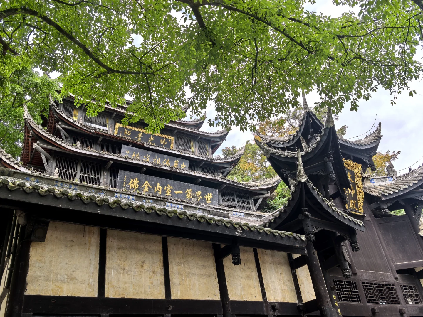 冷门小城🚅直达：世界最大金佛+千年古镇