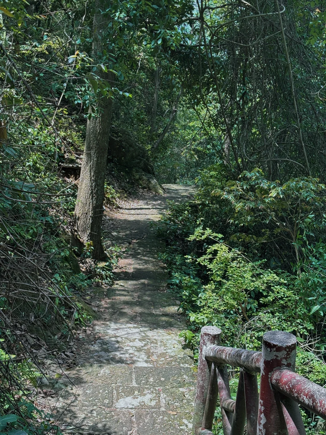 每周一山‼️大金华市内藏有峡谷瀑布悬空栈道