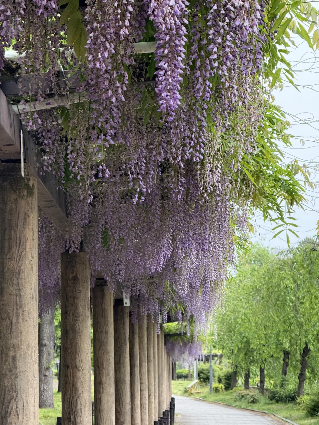 名古屋唯一去成的景点