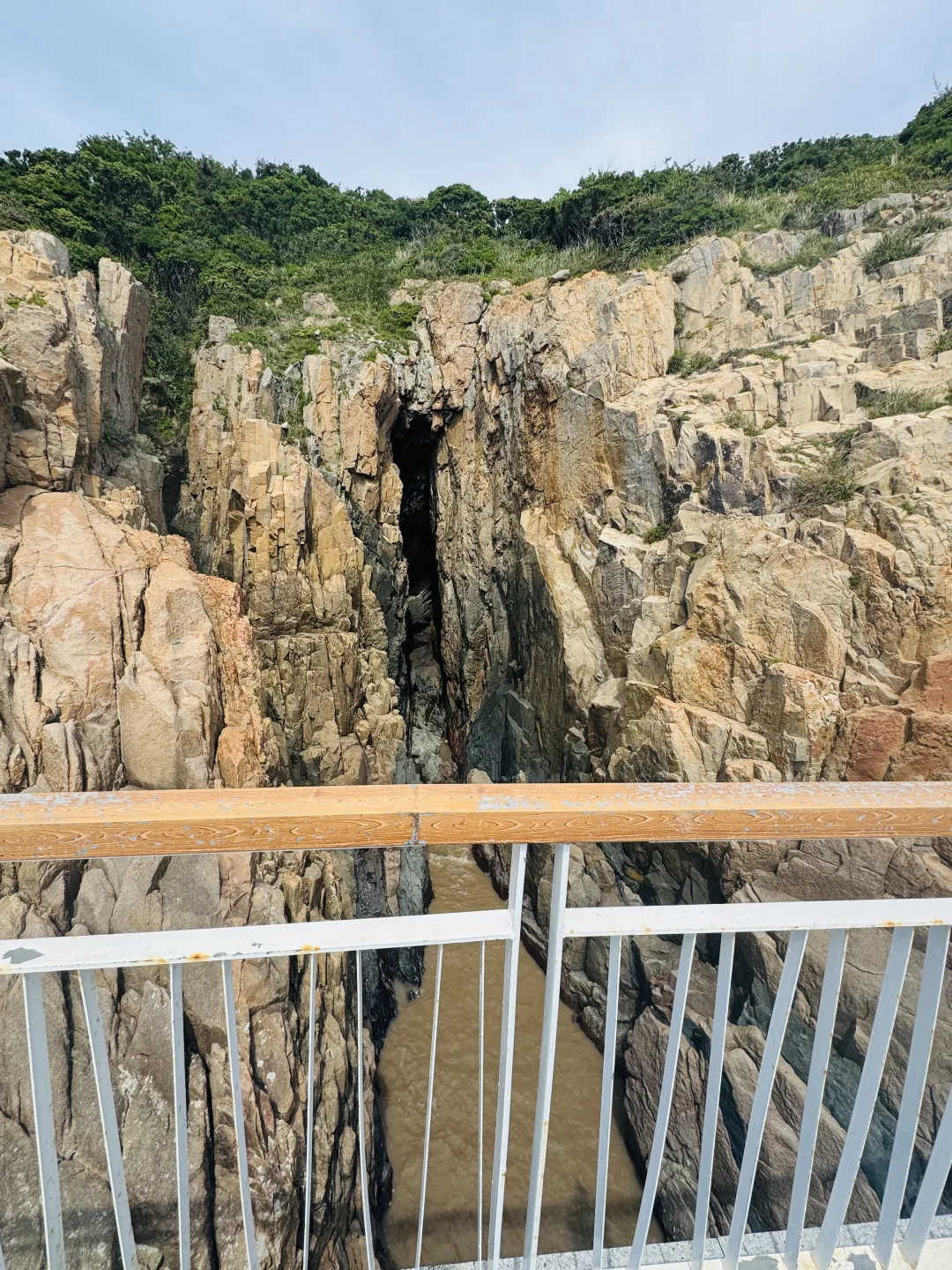 误入童话里的绿野仙踪🏝️衢山岛攻略请查收