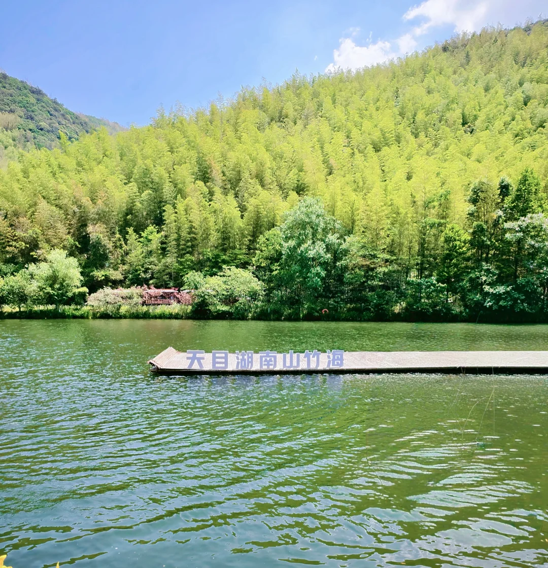 江苏旅游攻略之常州溧阳“天目湖南山竹海”