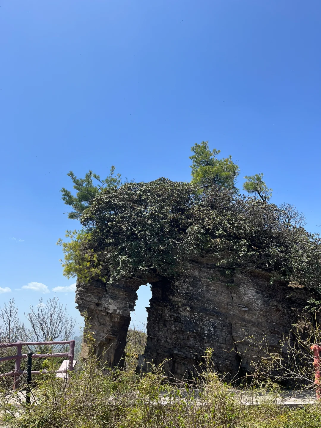 光雾山｜藏在深山的5A级景区⛰️