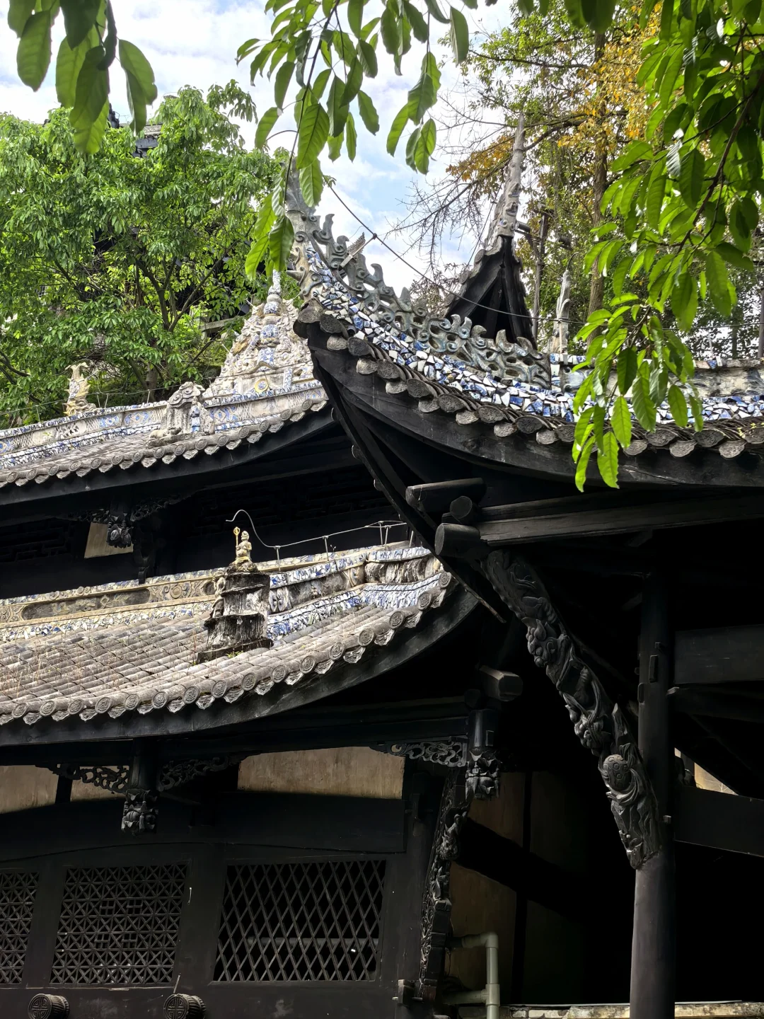 冷门小城🚅直达：世界最大金佛+千年古镇