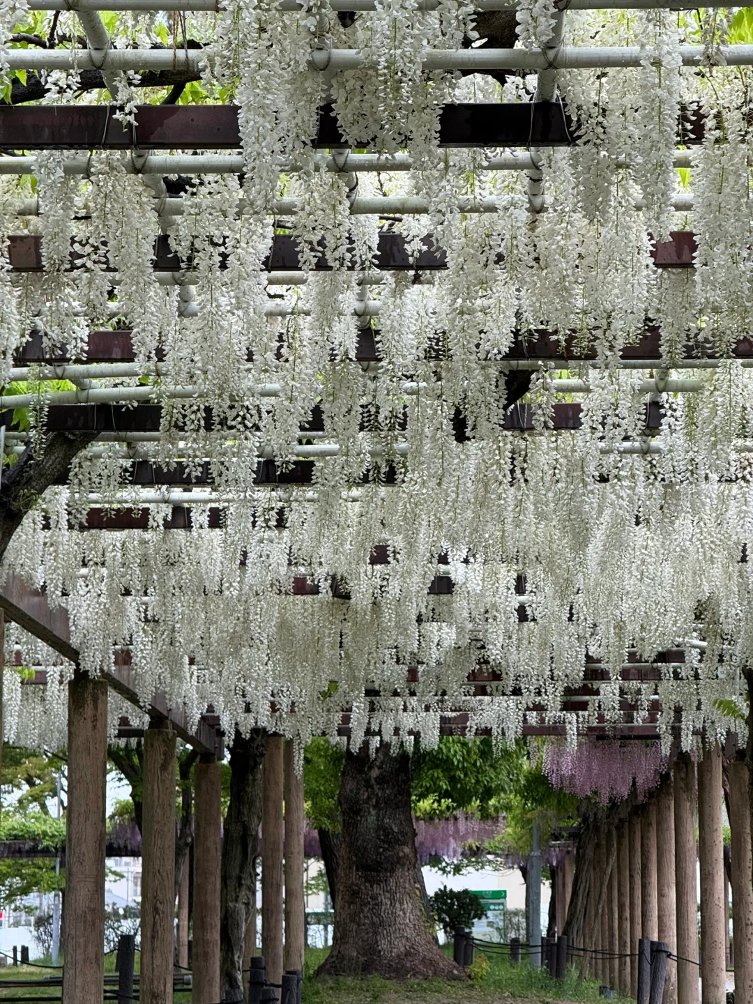 名古屋唯一去成的景点