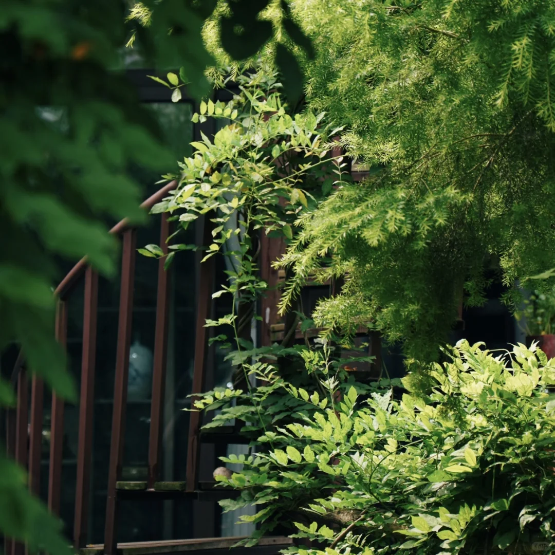 打工暂停 | 挑战每周出去玩（3/30）荣昌