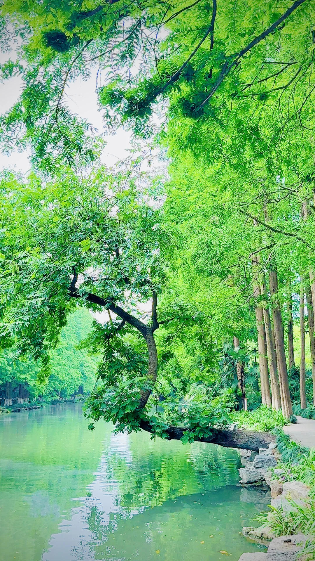 2025年5月4日在杭州的一天，打卡6个网红景点