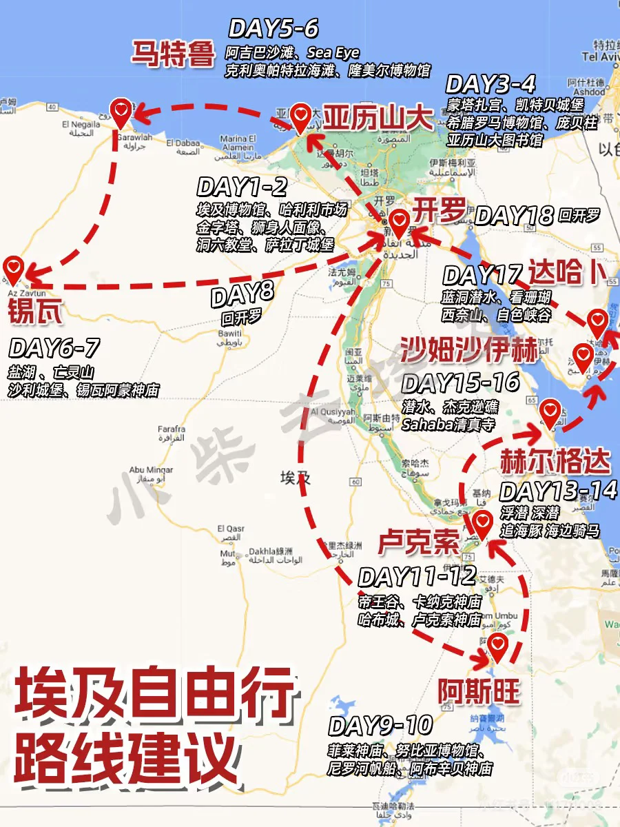 找埃及旅游搭子！！！