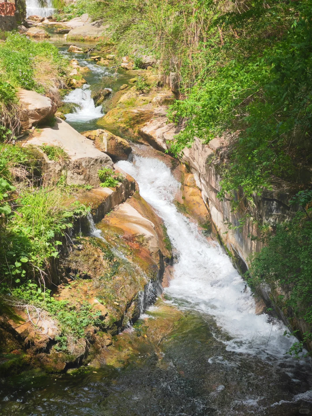 大学生特种兵极限挑战！