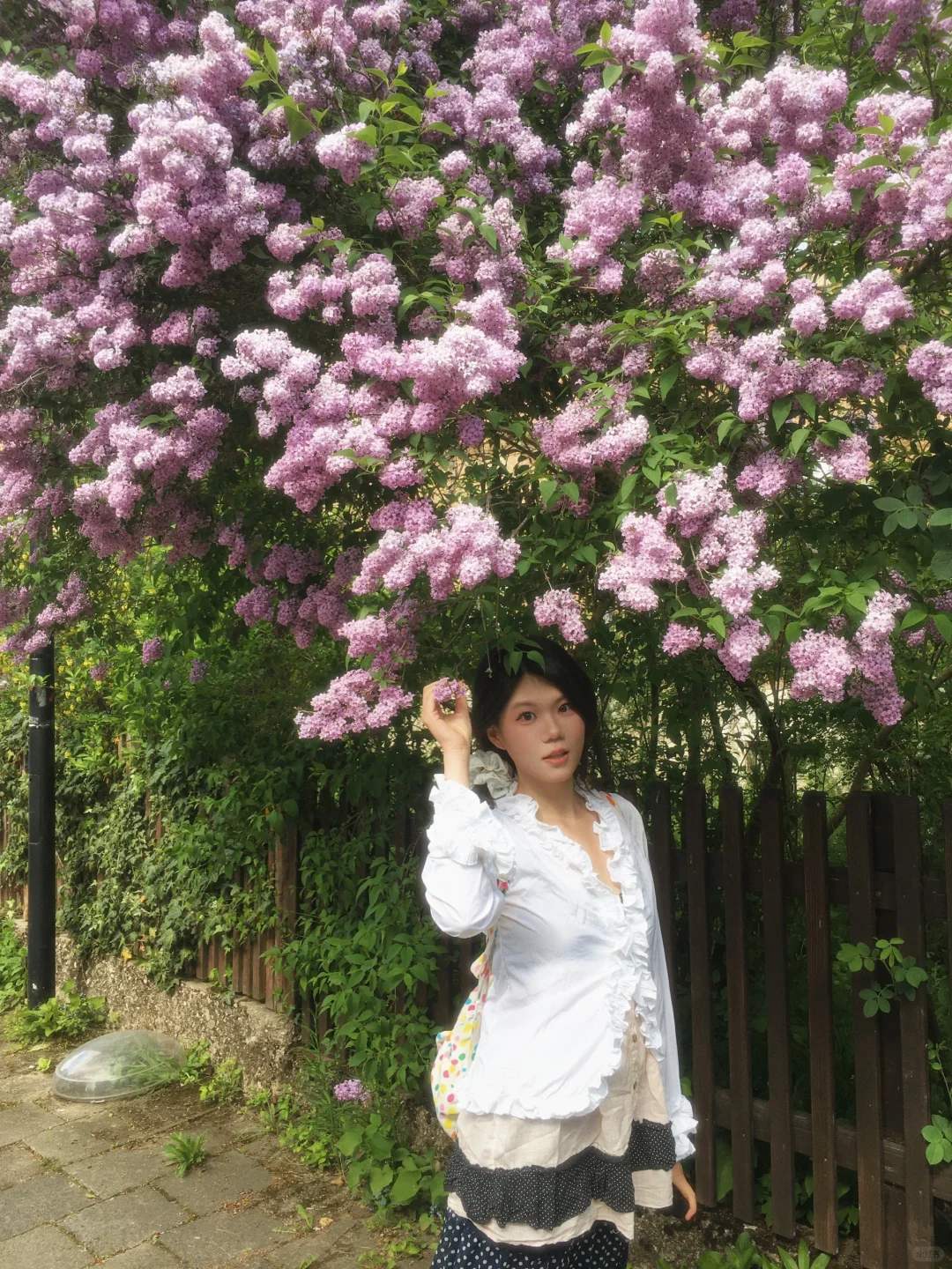 愿意为这一片草地来一万次魏玛