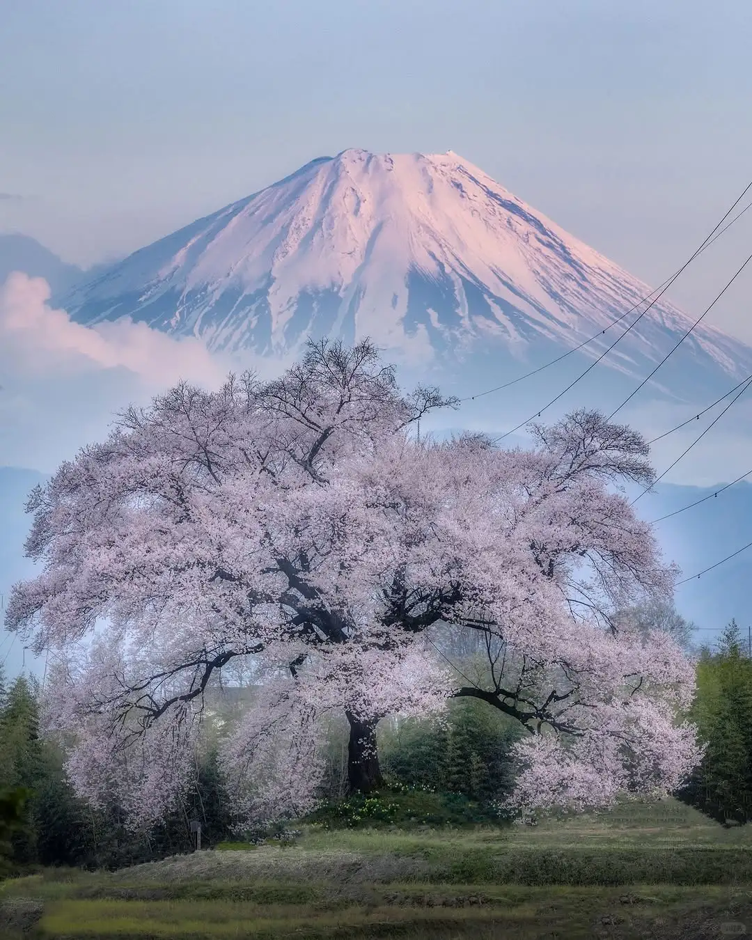 🚗富士山拼车游 | 一站式打卡绝美景点