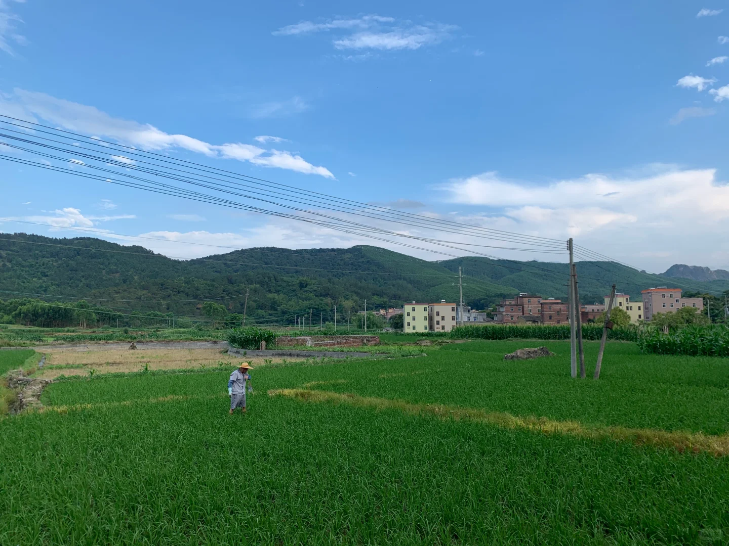 五一假期，反向出行！！！