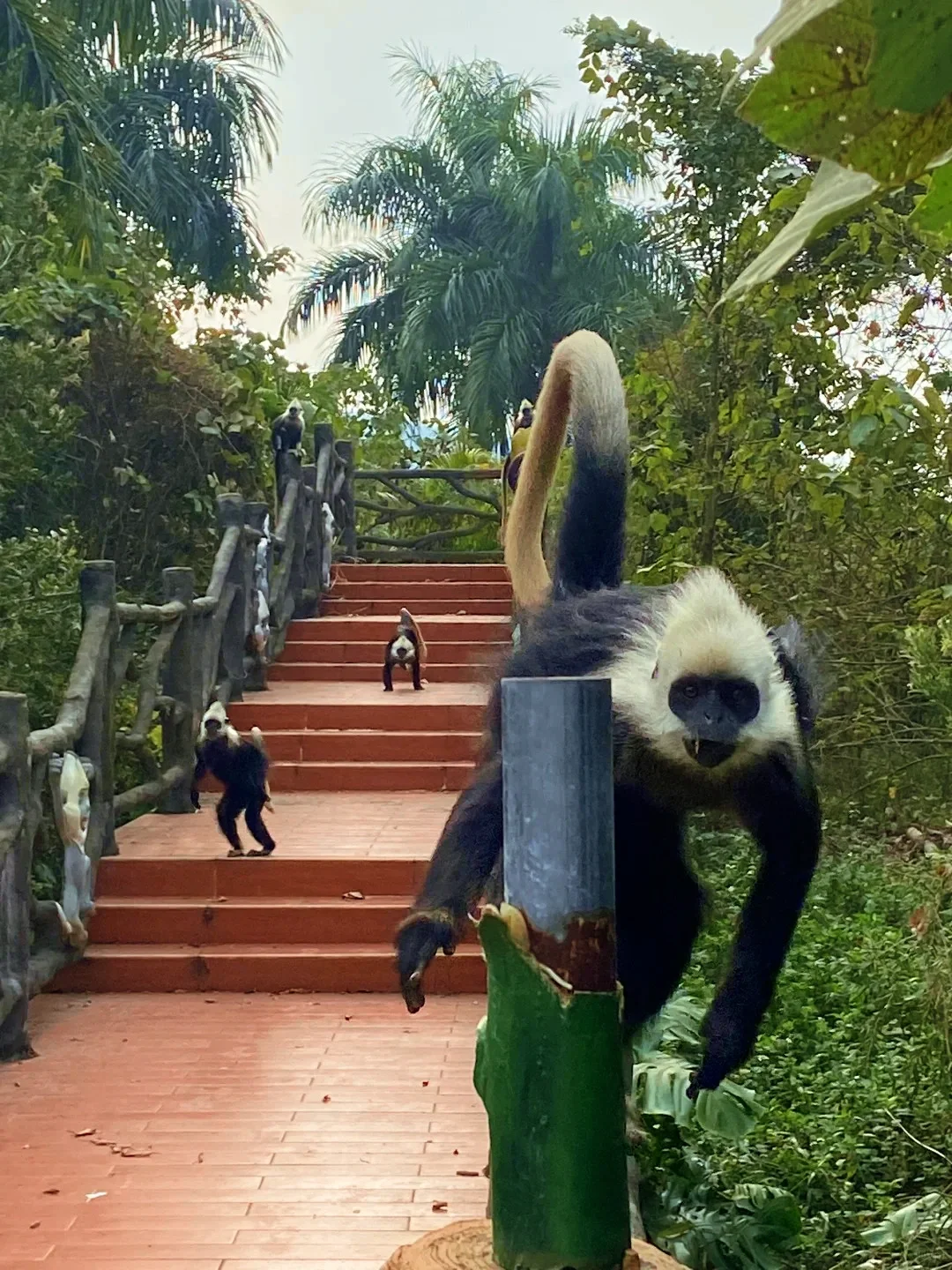 带娃住进崇左26℃神仙地，景美人少过五一！🍃