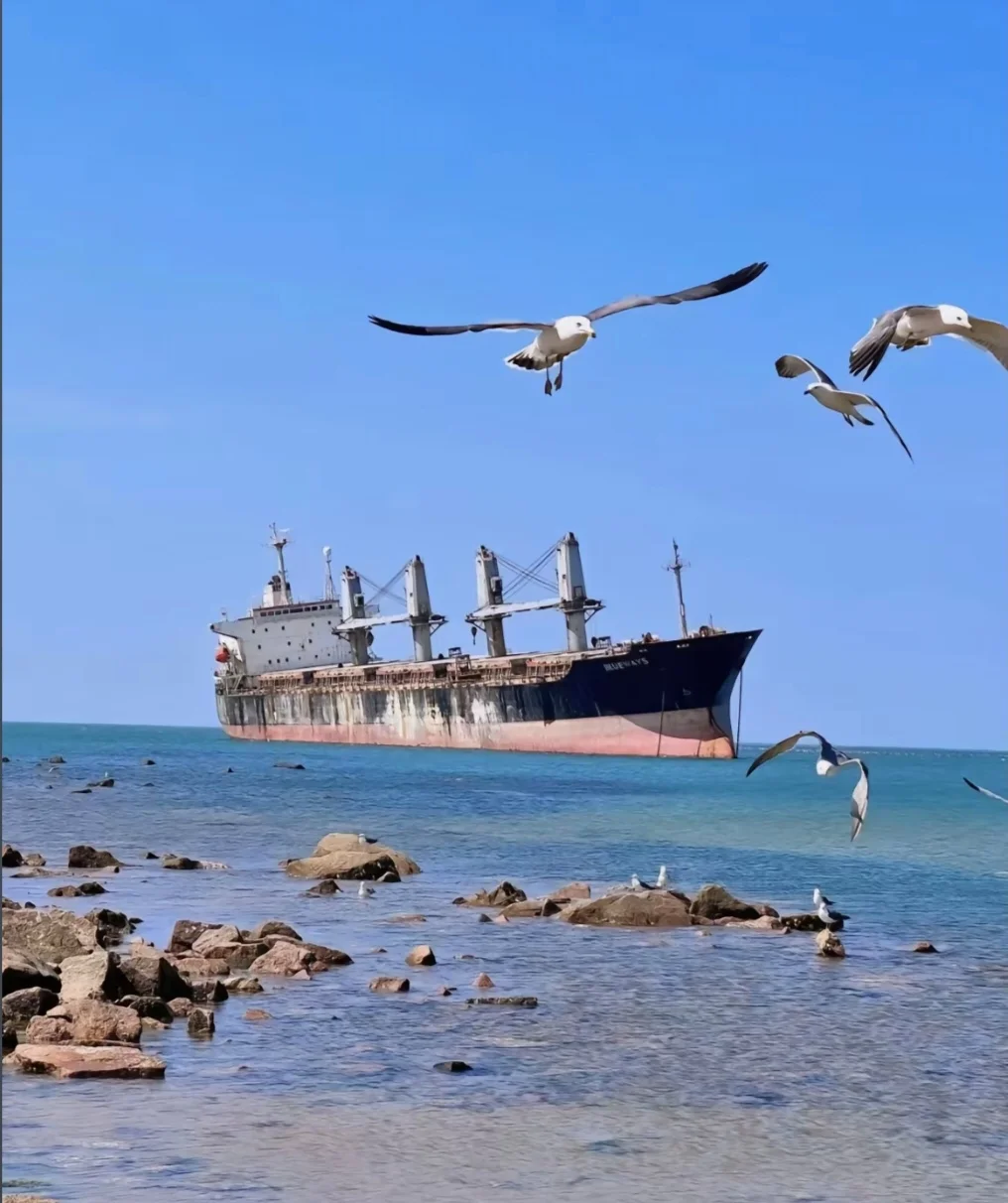 🌟 **五月的威海一日游攻略｜学生党必看