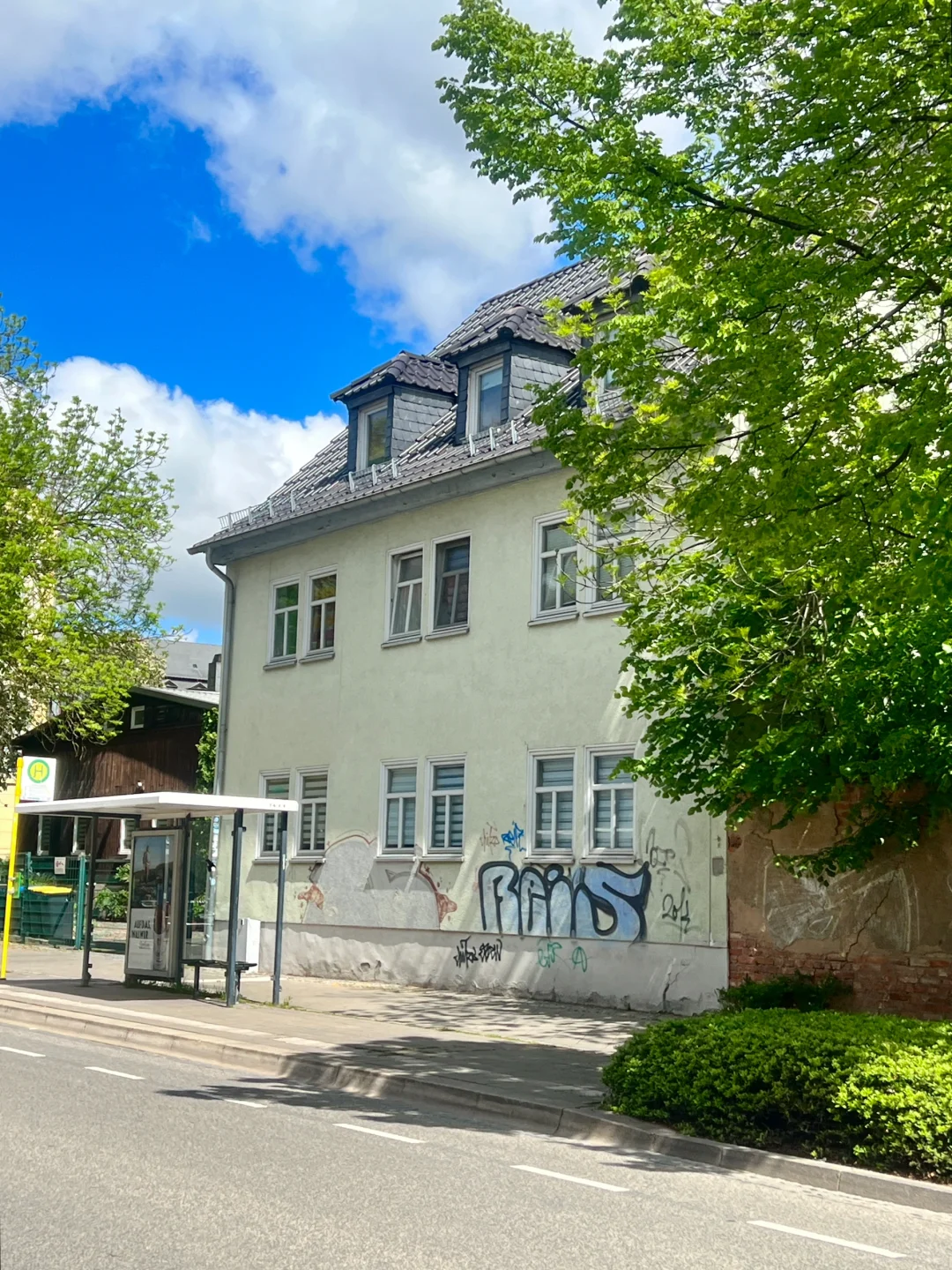 愿意为这一片草地来一万次魏玛