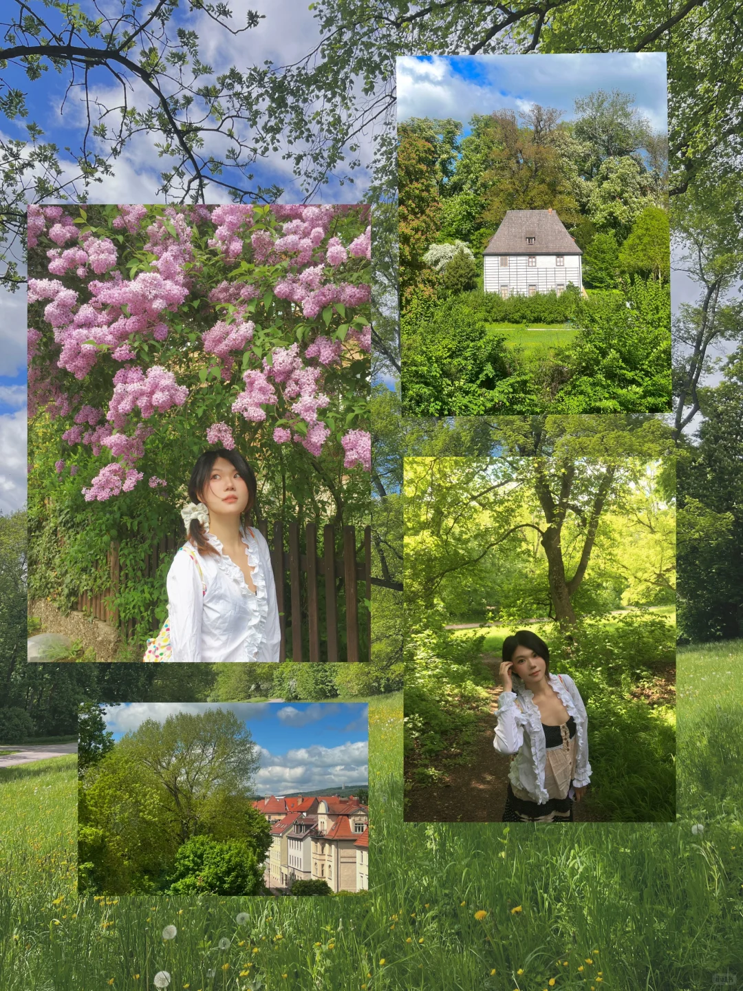 愿意为这一片草地来一万次魏玛