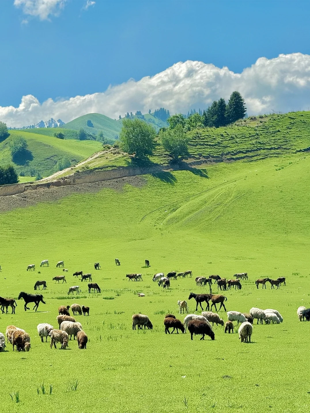 4月份去了新疆，我的建议是～