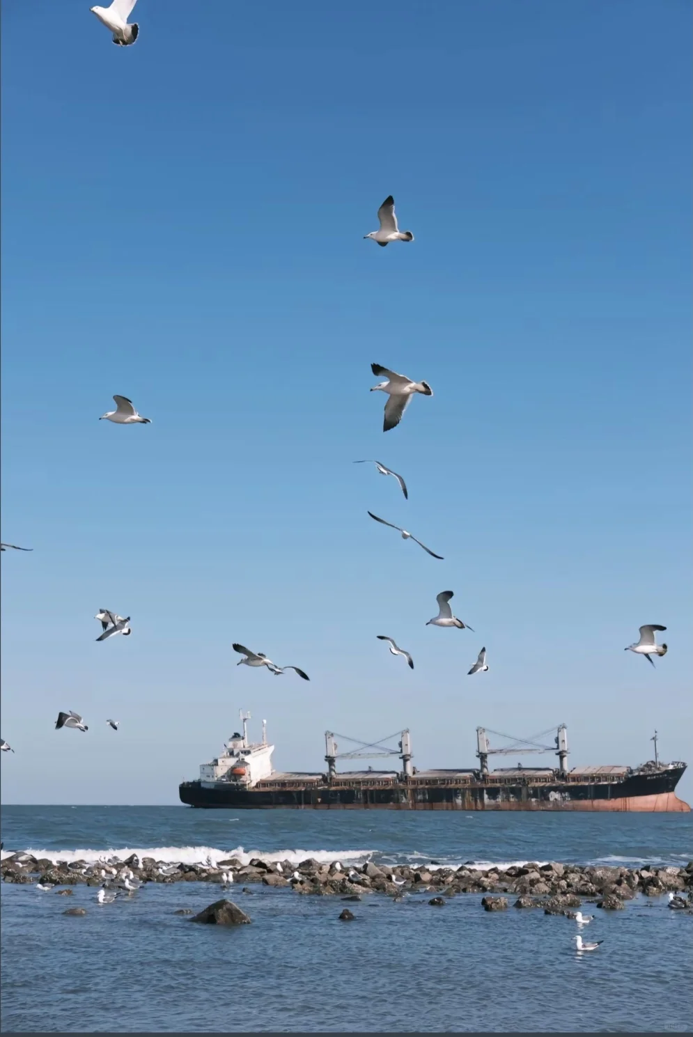 🌟 **五月的威海一日游攻略｜学生党必看