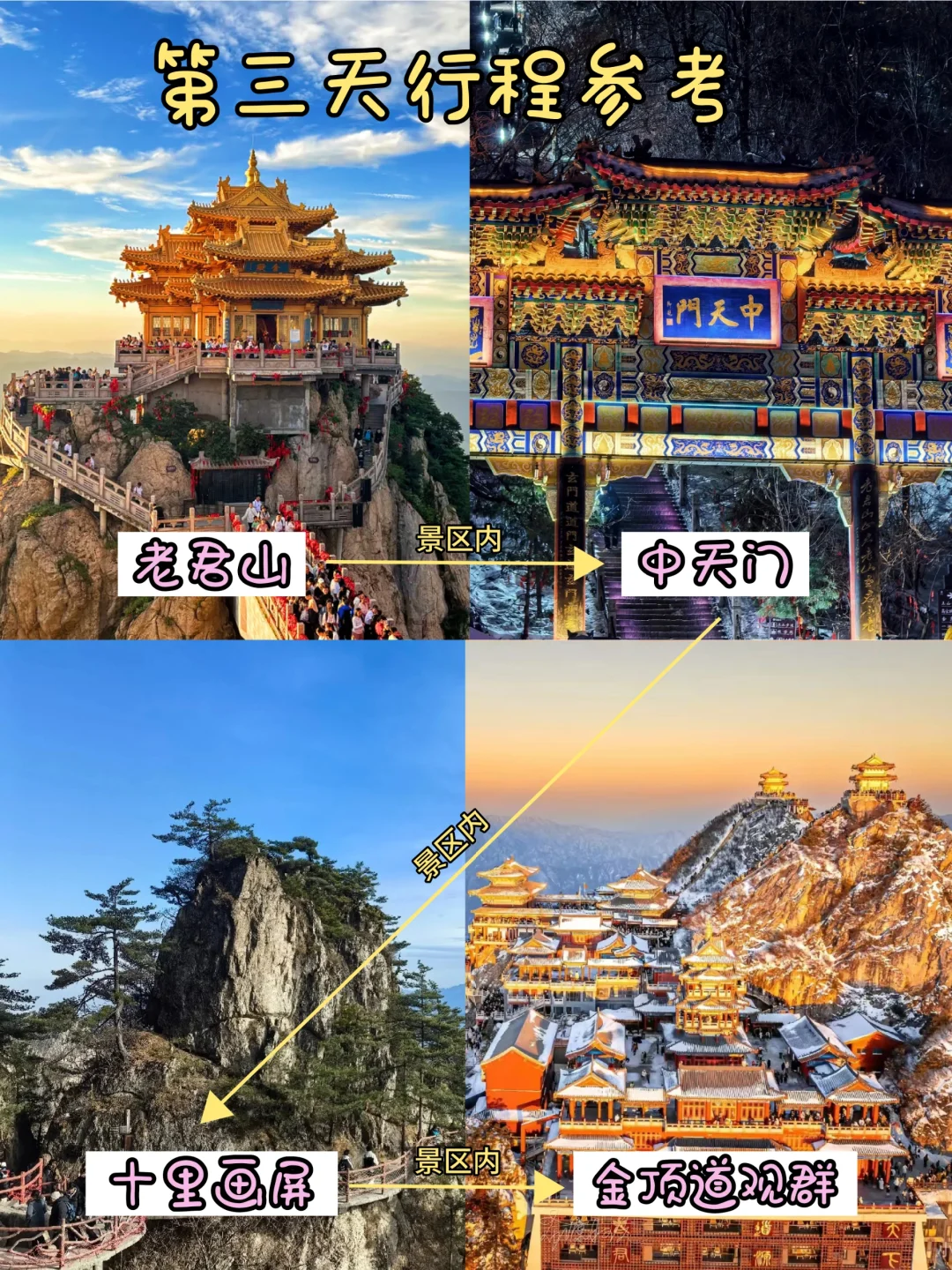 3-5月想来洛阳，看这篇超全攻略就够了🔥