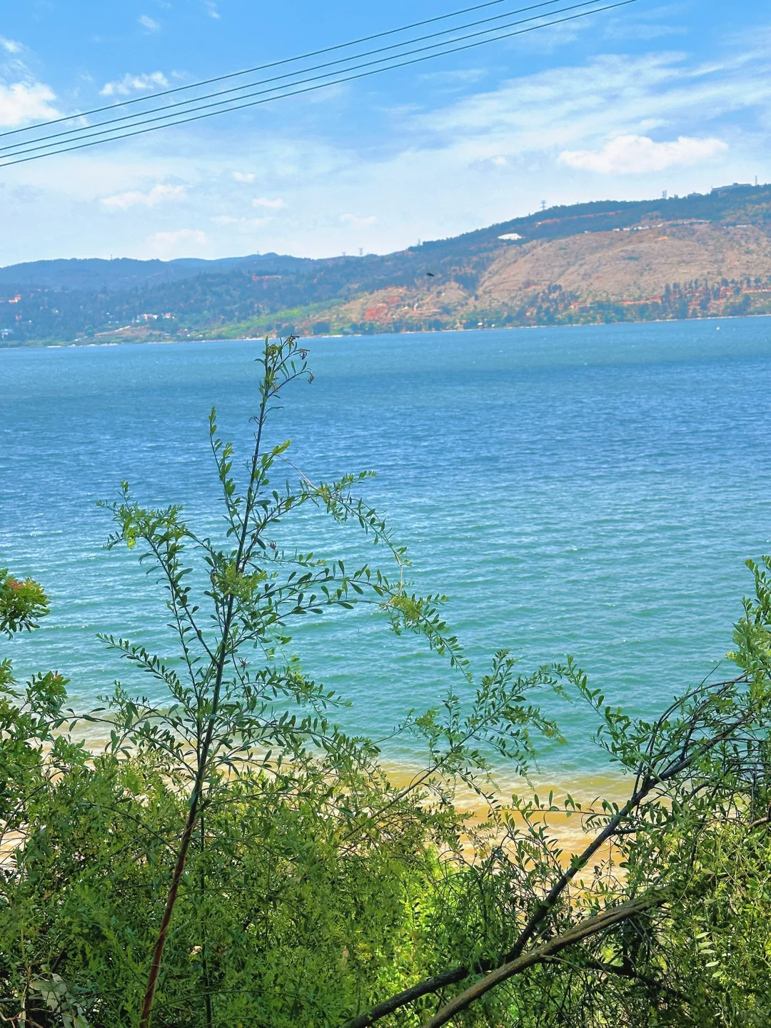 5.8实拍）昆明周边新的！！！超绝海景花园🌊……