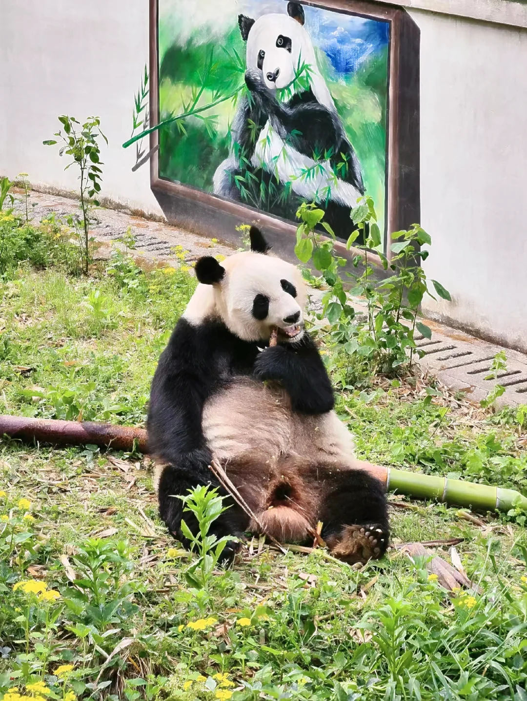 江苏旅游攻略之常州溧阳“天目湖南山竹海”