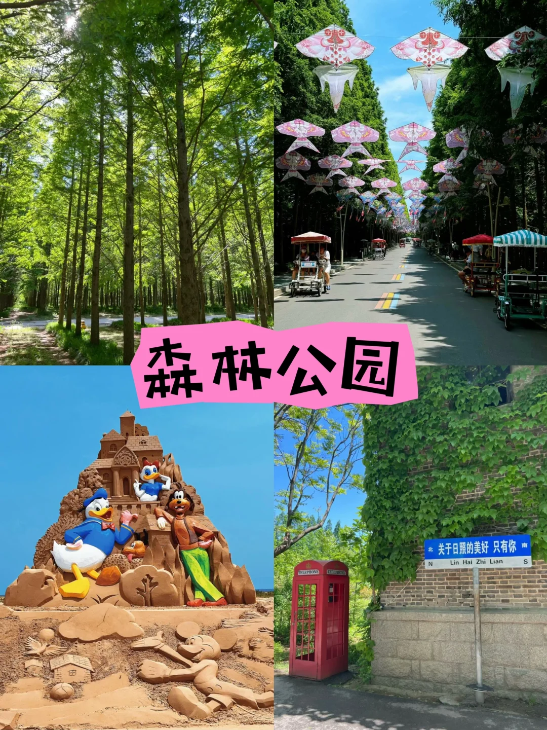 📍日照city walk一日游｜🏝️附景点攻略