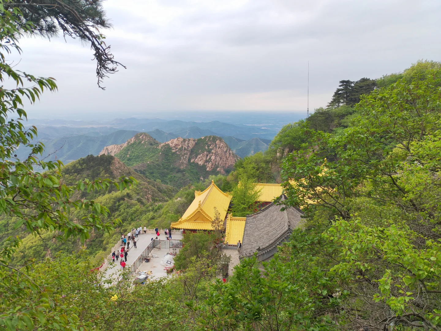五峰三盘，今朝看