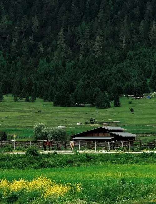 神秘的雪域高原，十大精华景点