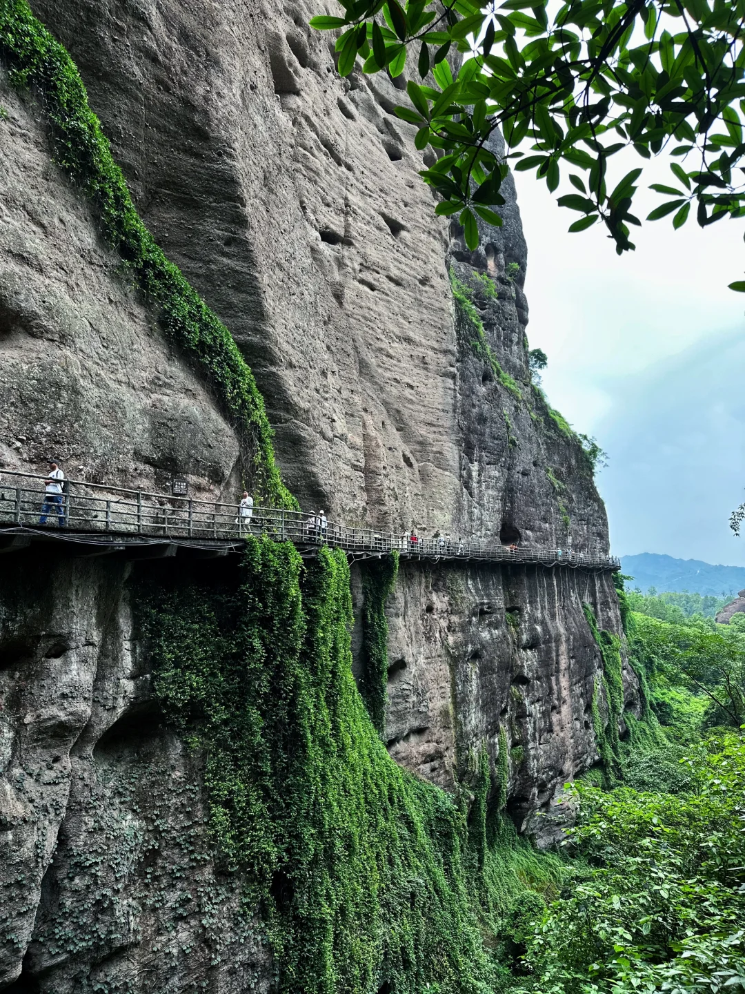 鹰潭｜龙虎山 天师府 悬棺表演 内附攻略📋