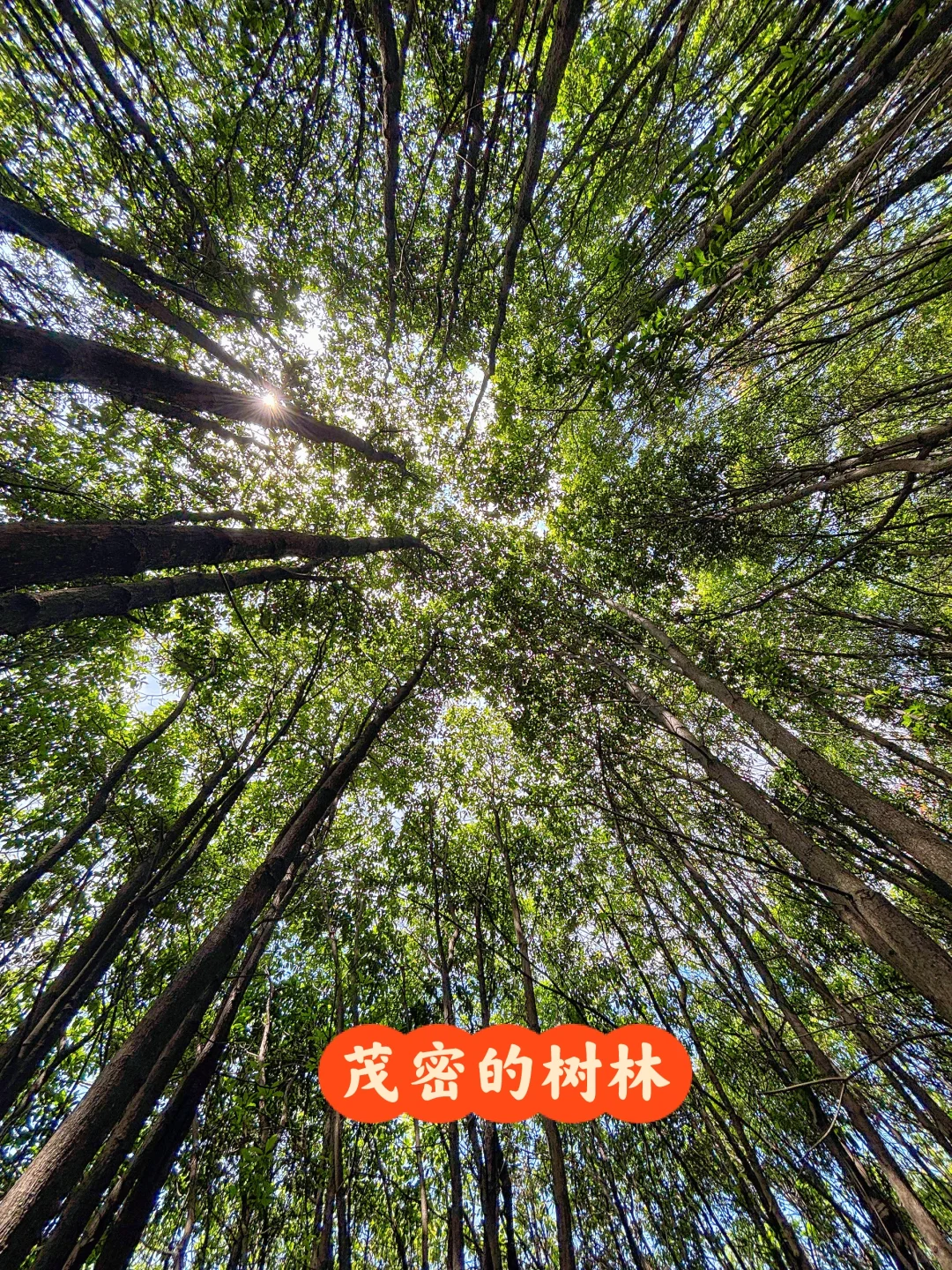 每周一山‼️大金华市内藏有峡谷瀑布悬空栈道