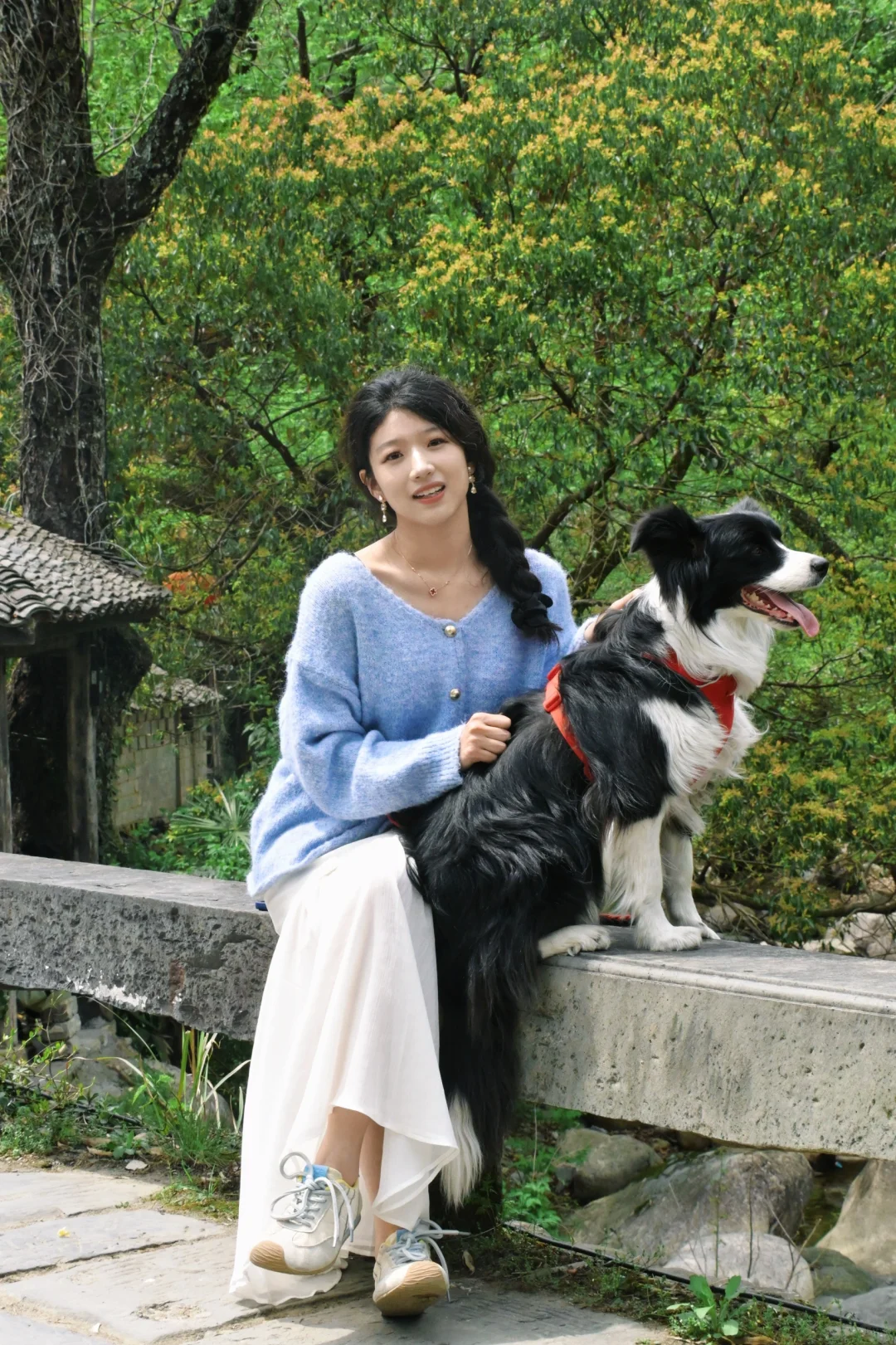 带狗自驾第十站之池州｜处处景色都很漂亮