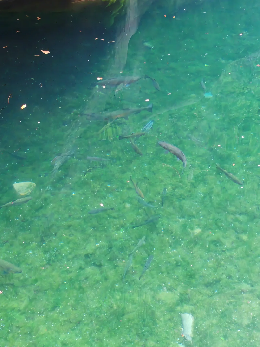 大学生特种兵极限挑战！