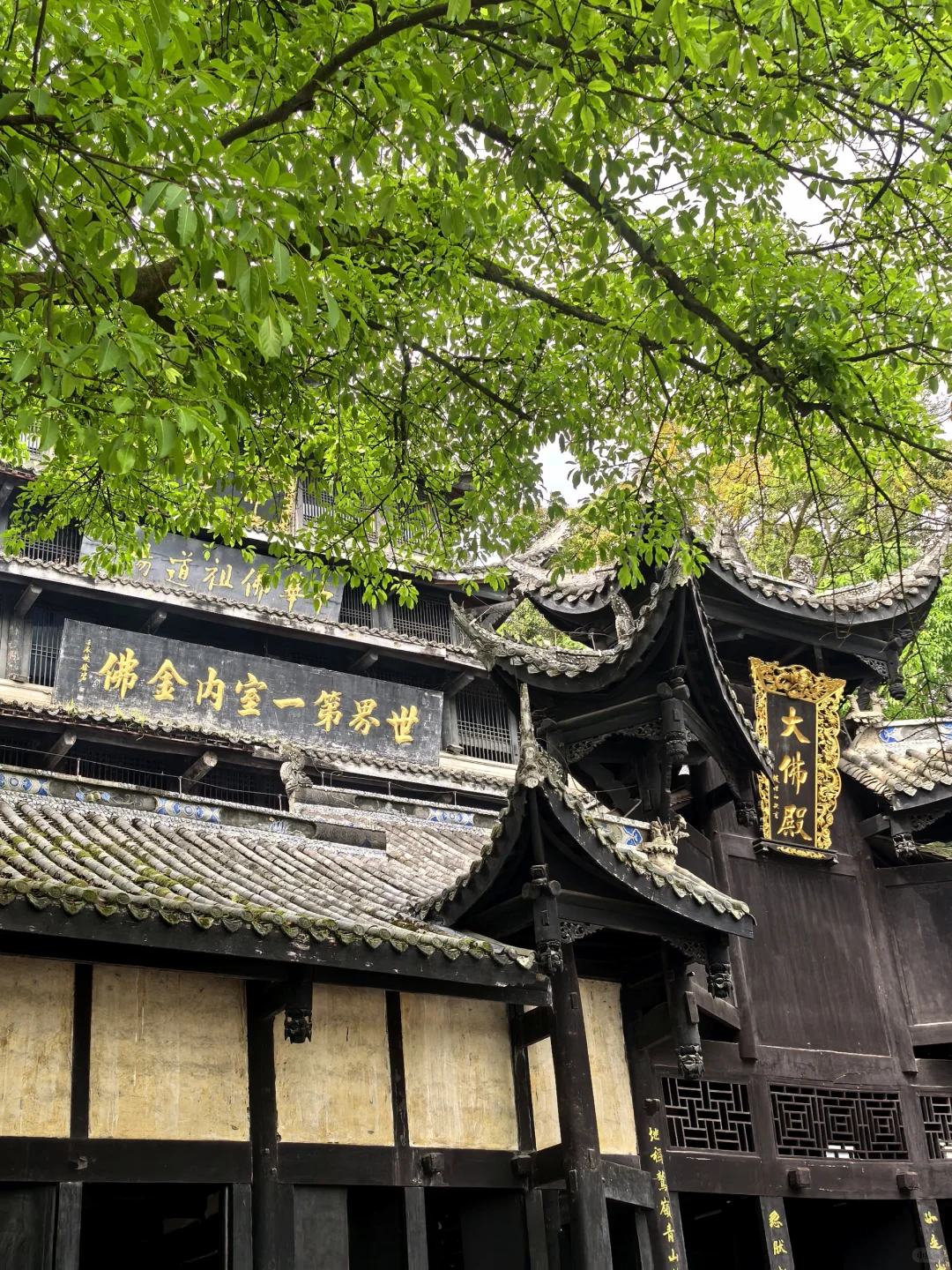 冷门小城🚅直达：世界最大金佛+千年古镇