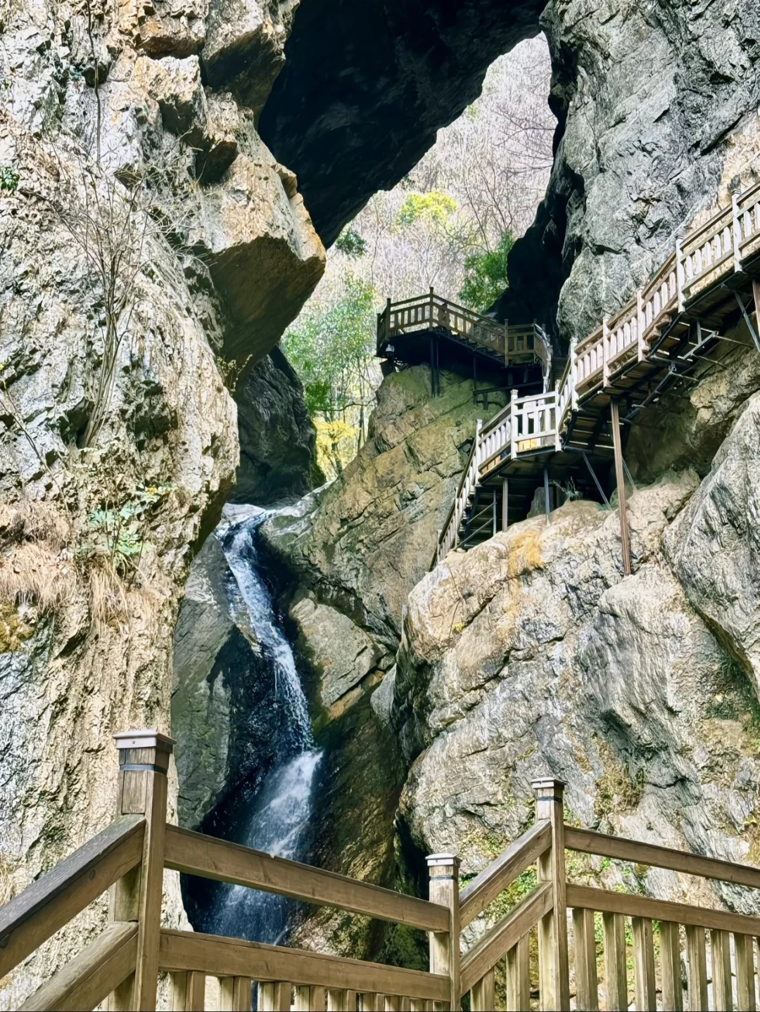 原始森林地质与奇观